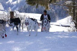 Lenk 2013